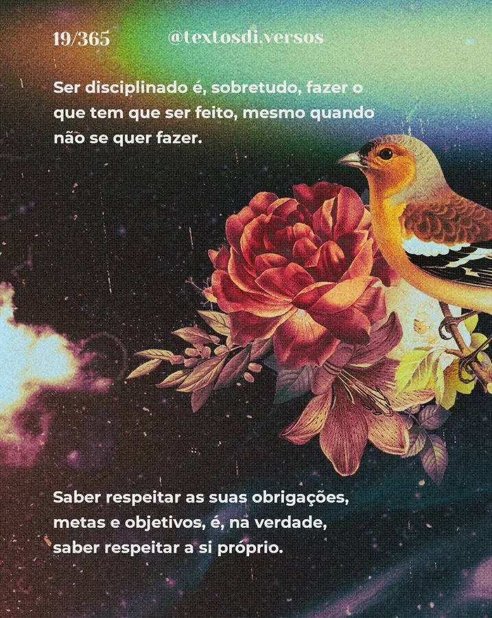 Lâmina 3 do carrossel do texto 019/365