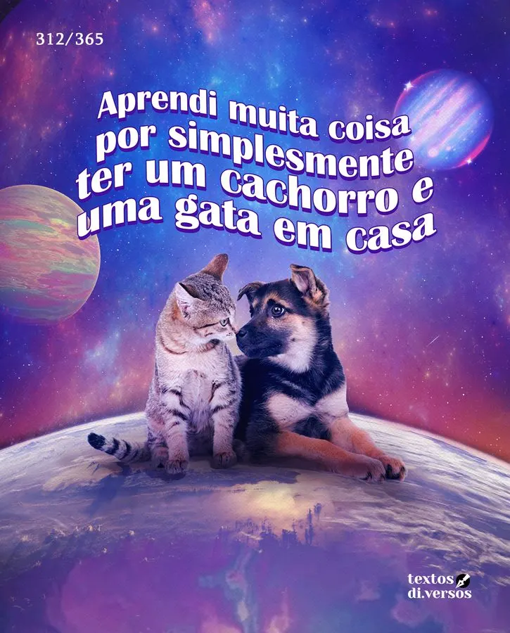 Arte do texto 312/365